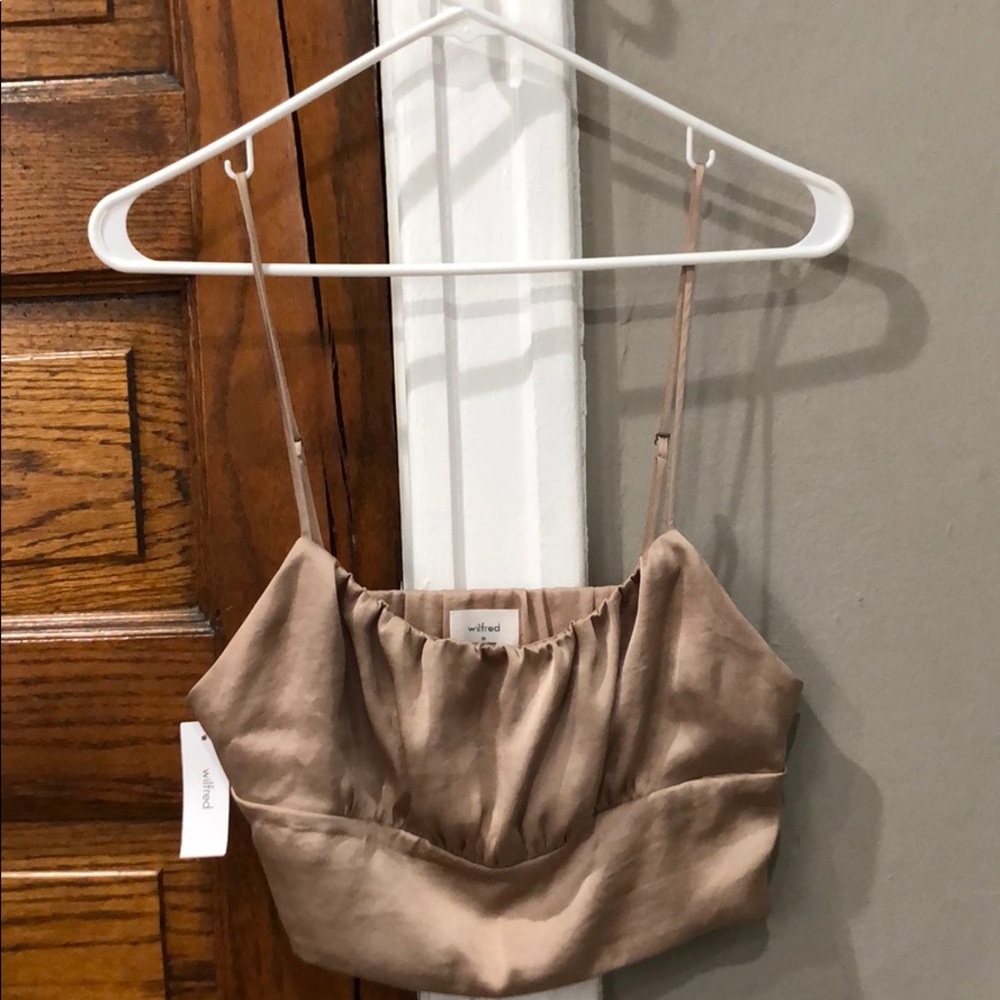 Aritzia Crop Top